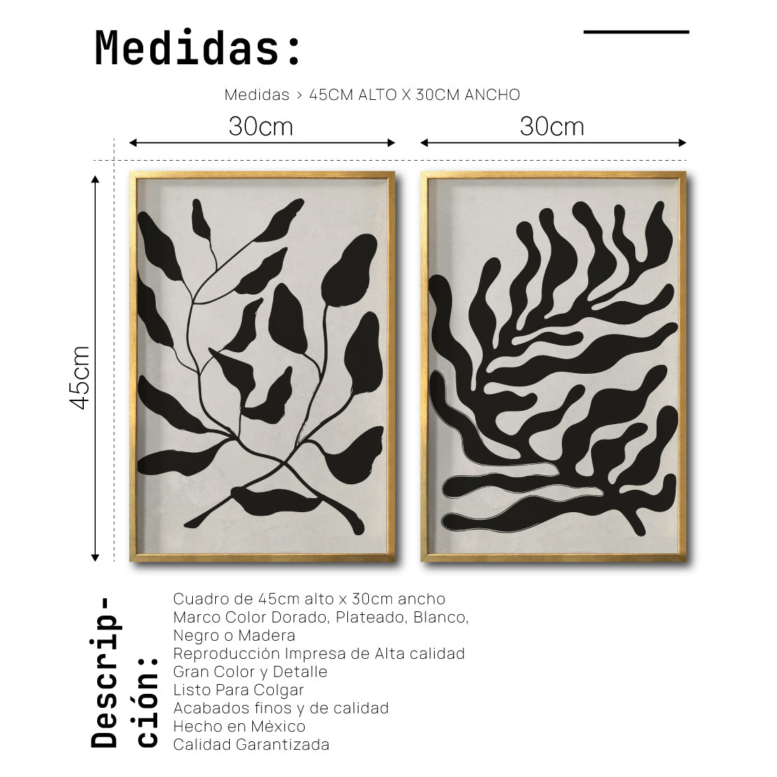 Set 2 Cuadros Decorativos Abstracto Negro Arena 032 - Arte Elegante Estilo Boho Minimalista en Beige y Negro