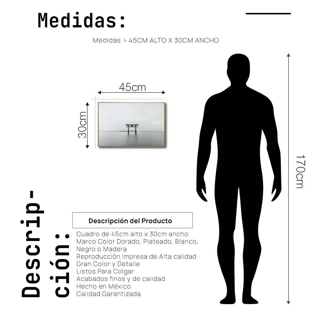 Cuadro Decorativo - Zen 032 - Torii - Puerta Sagrada