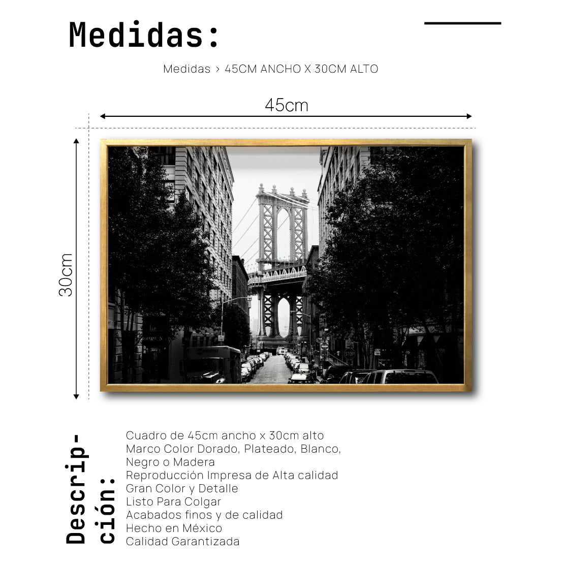 Cuadro Decorativo NY 033 - Manhattan Bridge New York Dumbo