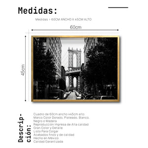 Cuadro Decorativo NY 033 - Manhattan Bridge New York Dumbo