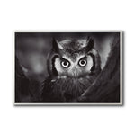 Cargar imagen en el visor de la galería, Cuadro Decorativo Fauna 033 -  Buho Blanco y Negro
