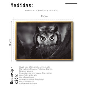 Cuadro Decorativo Fauna 033 -  Buho Blanco y Negro