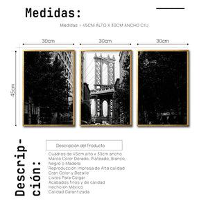 Set Cuadros Decorativos NY 034 - Triptico Manhattan Bridge New York Dumbo