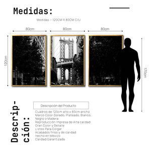 Set Cuadros Decorativos NY 034 - Triptico Manhattan Bridge New York Dumbo