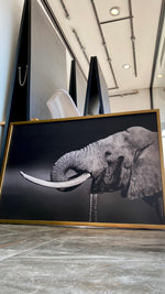 Cargar imagen en el visor de la galería, Cuadro Decorativo Fauna 003 -  Elefante Blanco y Negro
