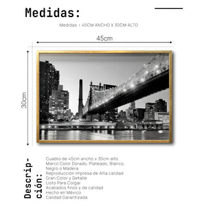 Cuadro Decorativo NY 035