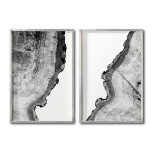 Set 2 Cuadros Decorativos Abstracto Negro Arena 035 - Arte Boho Troncos blanco y Negro