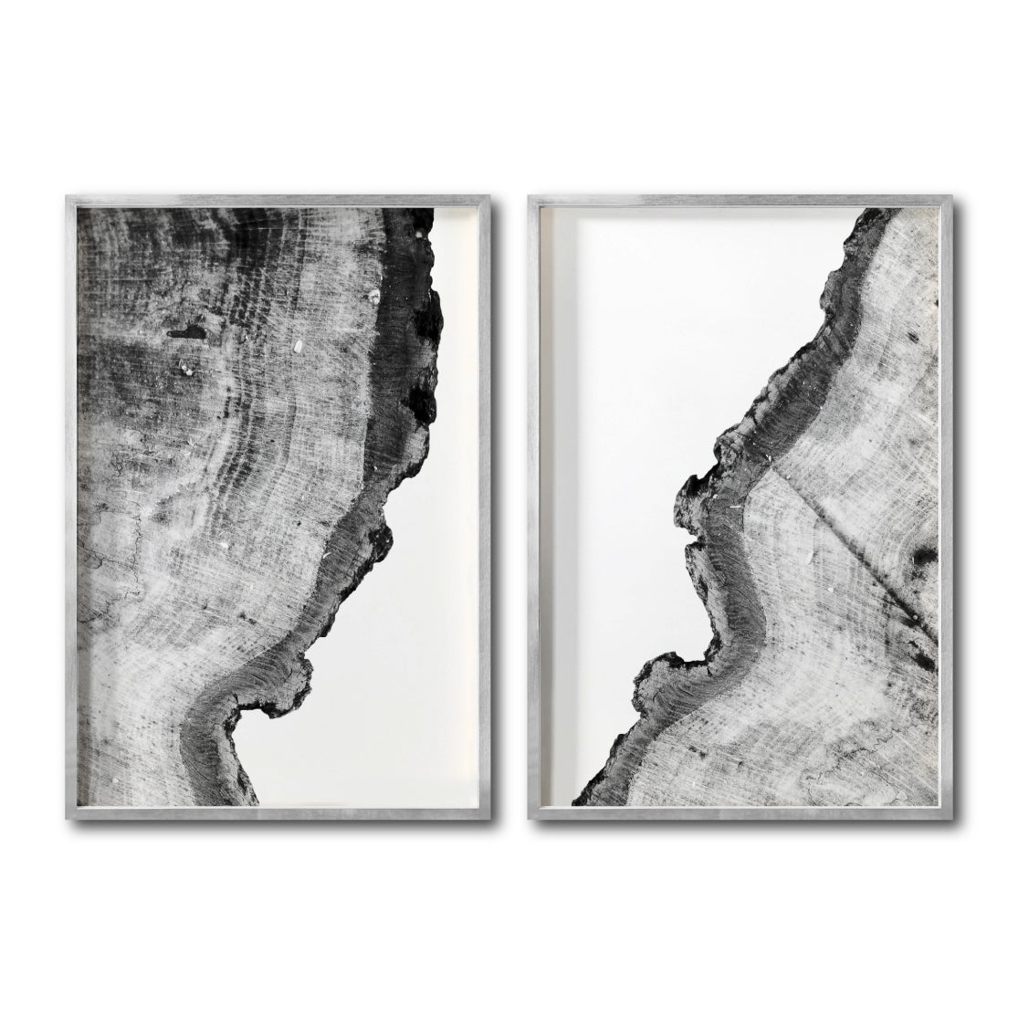 Set Cuadros Decorativos Abstracto Negro Arena 035 - Arte Boho Troncos blanco y Negro Para Sala