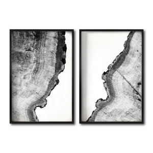 Set 2 Cuadros Decorativos Abstracto Negro Arena 035 - Arte Boho Troncos blanco y Negro