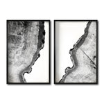 Cargar imagen en el visor de la galería, Set Cuadros Decorativos Abstracto Negro Arena 035 - Arte Boho Troncos blanco y Negro Para Sala
