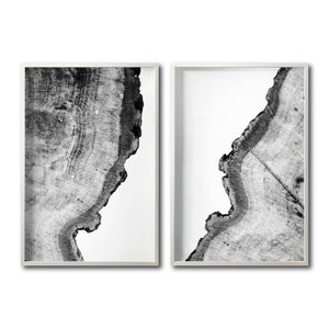 Set 2 Cuadros Decorativos Abstracto Negro Arena 035 - Arte Boho Troncos blanco y Negro