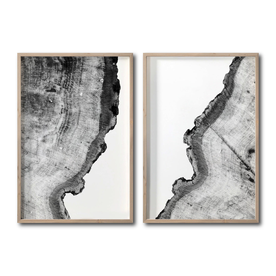 Set Cuadros Decorativos Abstracto Negro Arena 035 - Arte Boho Troncos blanco y Negro Para Sala