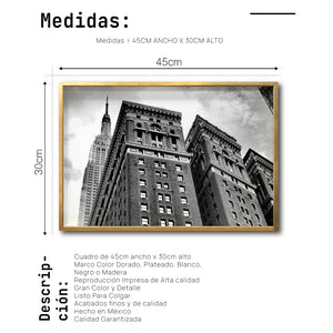 Cuadro Decorativo NY 036 - Empire State Nueva York