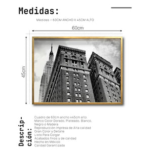 Cuadro Decorativo NY 036 - Empire State Nueva York