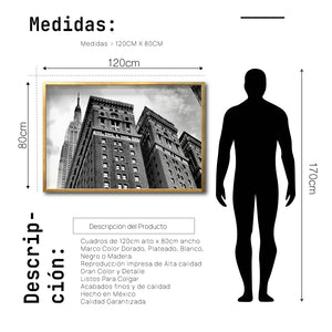 Cuadro Decorativo NY 036 - Empire State Nueva York