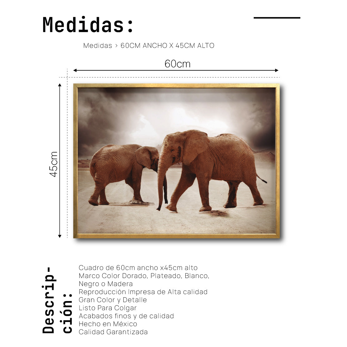 Cuadro Decorativo Fauna 036 - Elefantes