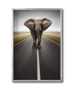 Cuadro Decorativo Fauna 037 - Elefante Carretera