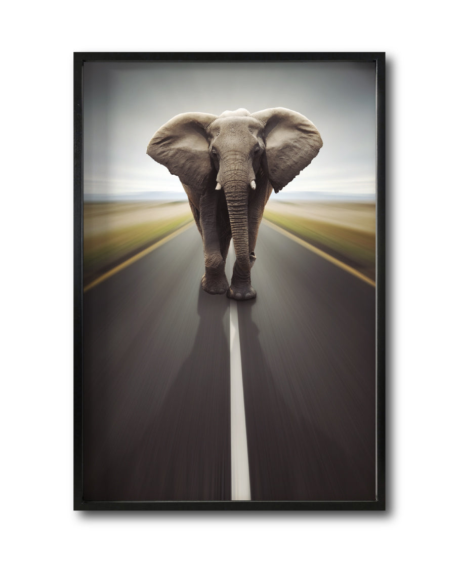 Cuadro Decorativo Fauna 037 - Elefante Carretera