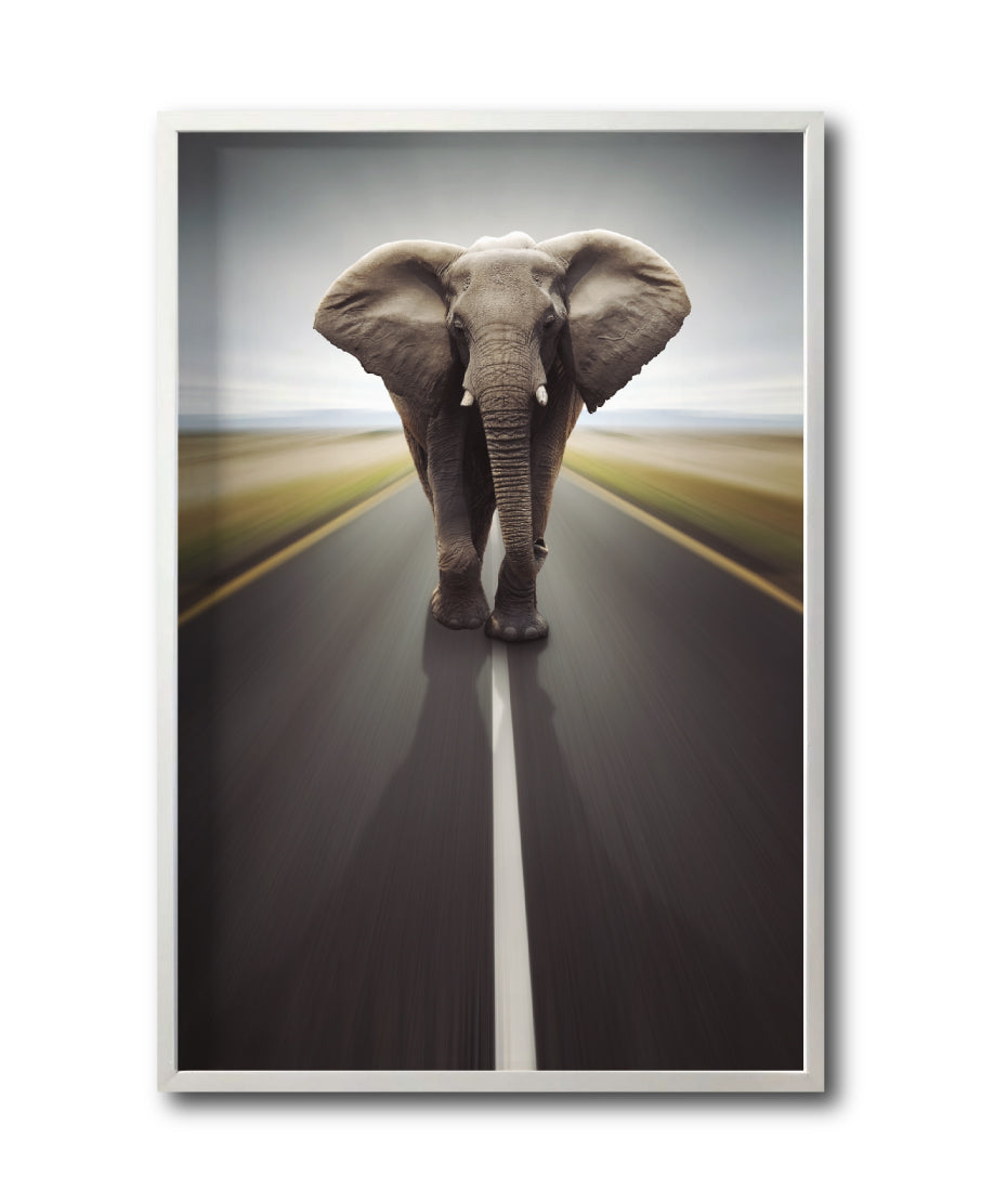 Cuadro Decorativo Fauna 037 - Elefante Carretera