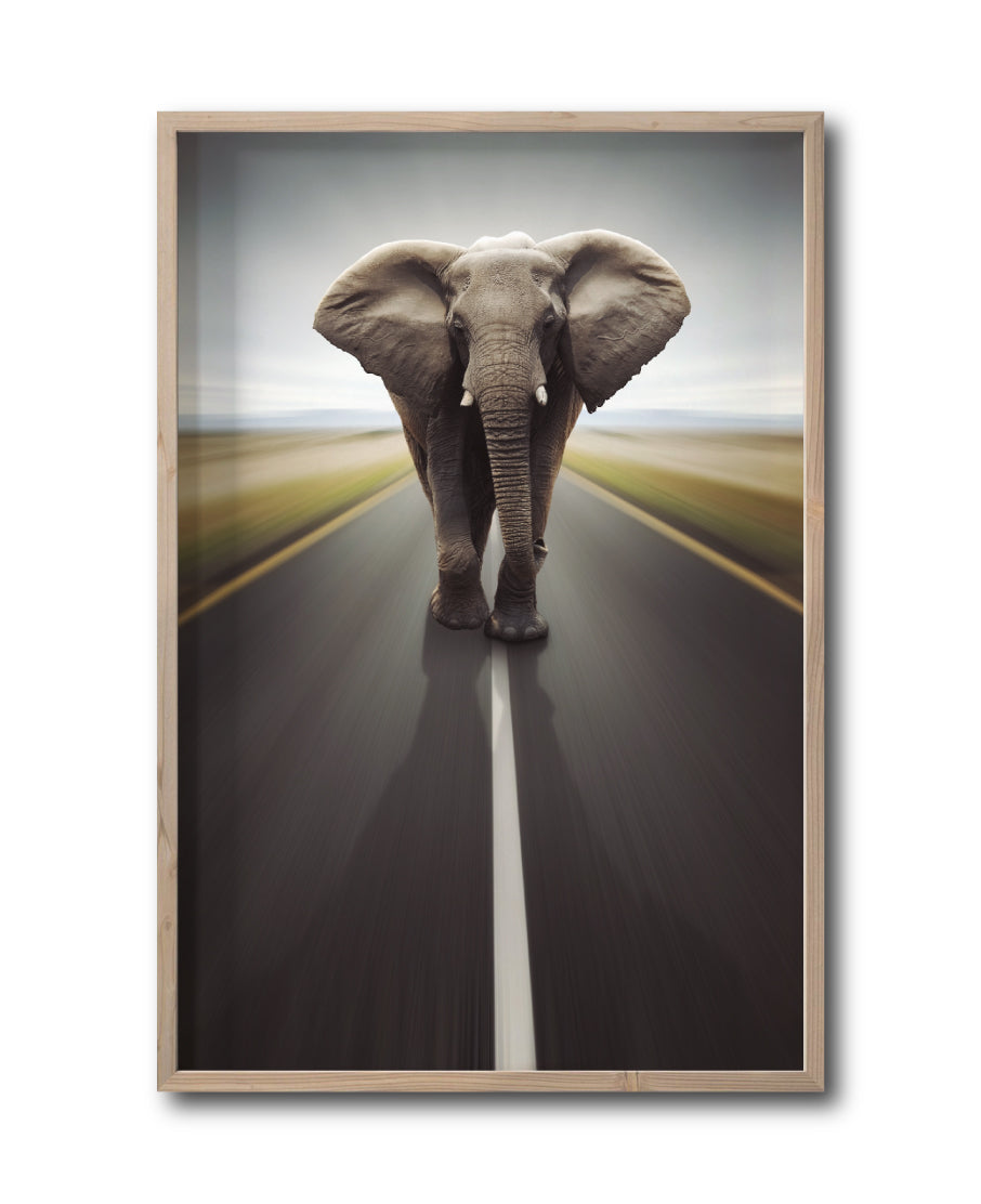 Cuadro Decorativo Fauna 037 - Elefante Carretera