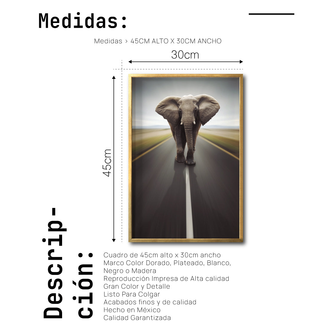 Cuadro Decorativo Fauna 037 - Elefante Carretera