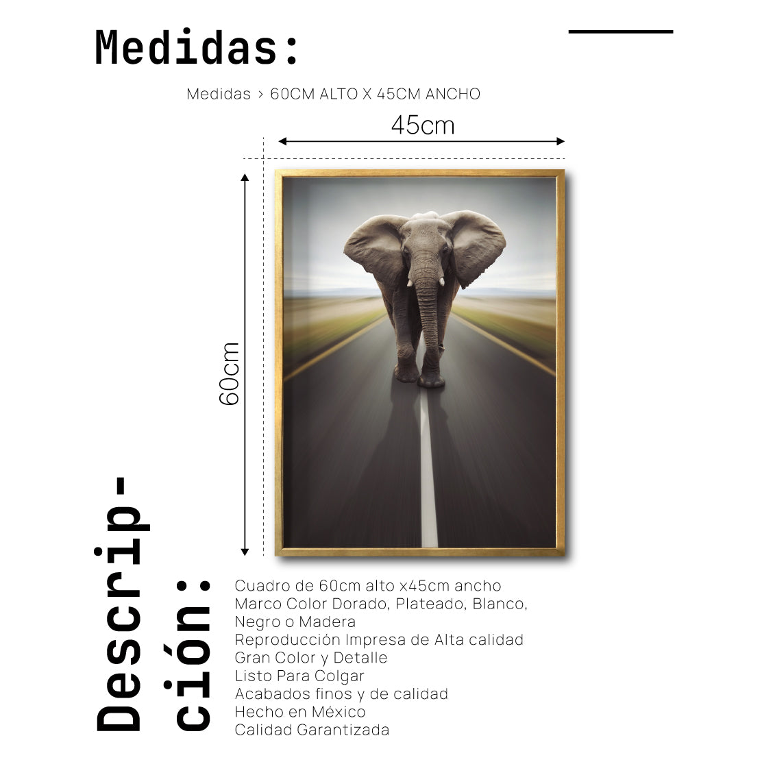 Cuadro Decorativo Fauna 037 - Elefante Carretera