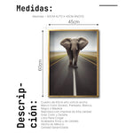 Cargar imagen en el visor de la galería, Cuadro Decorativo Fauna 037 - Elefante Carretera
