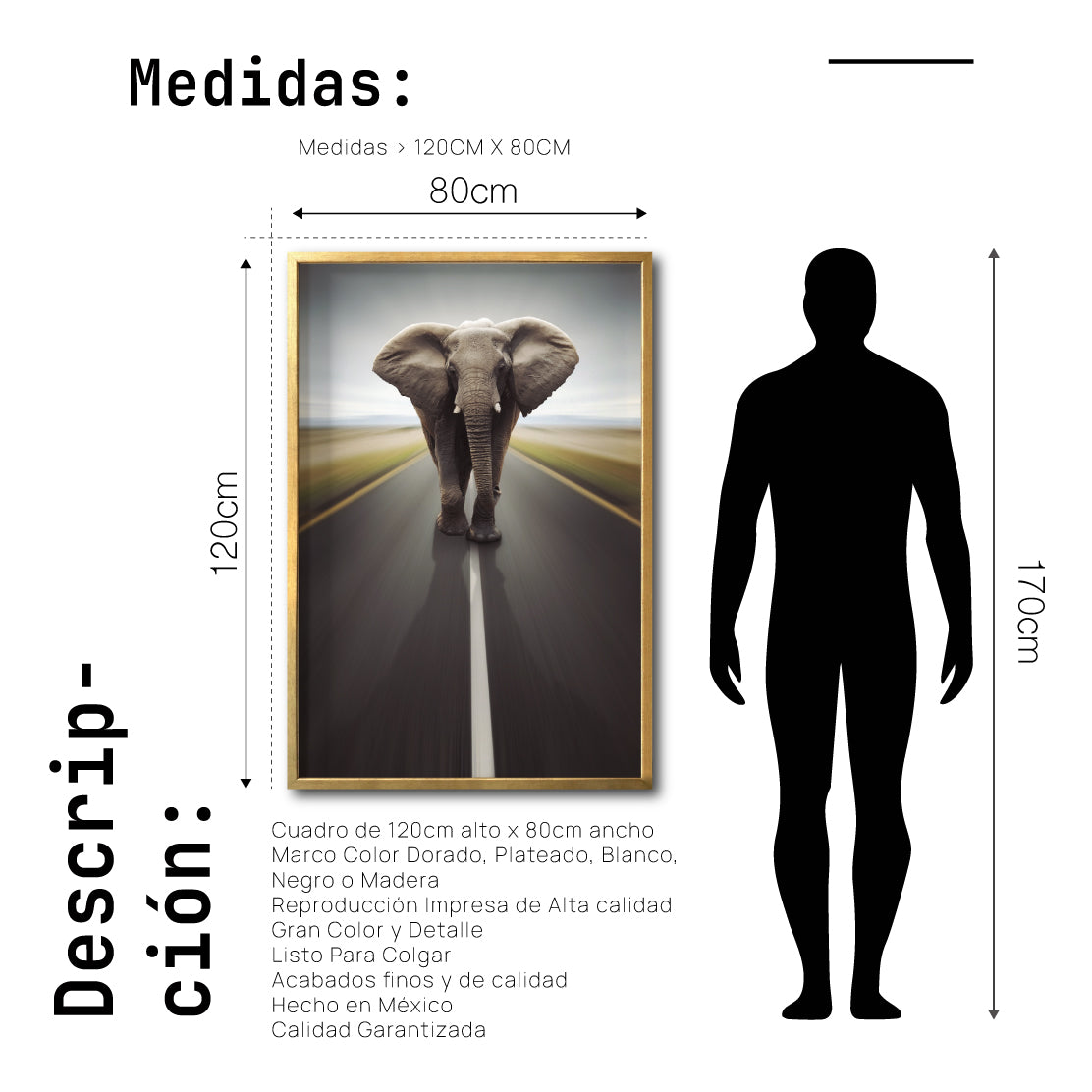 Cuadro Decorativo Fauna 037 - Elefante Carretera