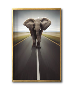 Cuadro Decorativo Fauna 037 - Elefante Carretera