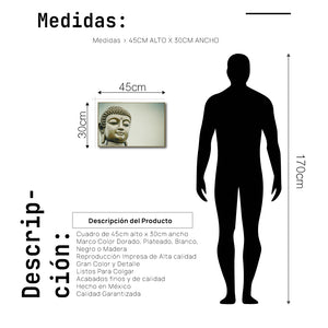 Cuadro Decorativo - Zen 037 - Buda en Meditación