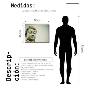 Cuadro Decorativo - Zen 037 - Buda en Meditación