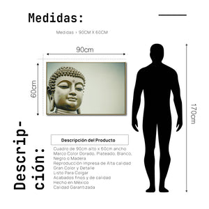 Cuadro Decorativo - Zen 037 - Buda en Meditación