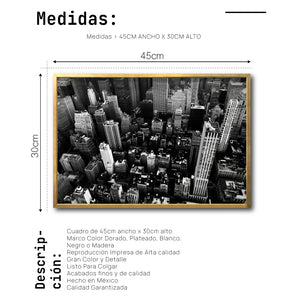 Cuadro Decorativo NY 038 - Edificios de Nueva York