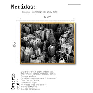 Cuadro Decorativo NY 039 - Edificios de Nueva York