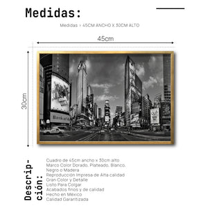Cuadro Decorativo NY 040 - Time Square New York