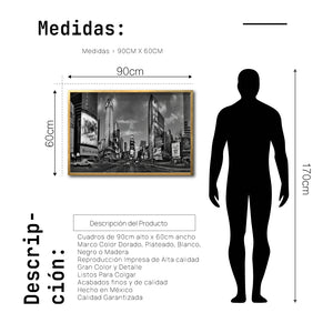 Cuadro Decorativo NY 040 - Time Square New York
