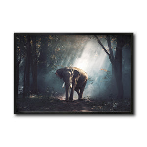 Cuadro Decorativo Fauna 040 - Elefante