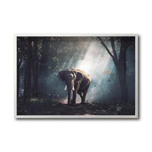 Cuadro Decorativo Fauna 040 - Elefante