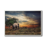 Cargar imagen en el visor de la galería, Cuadro Decorativo Fauna 041 - Elefante
