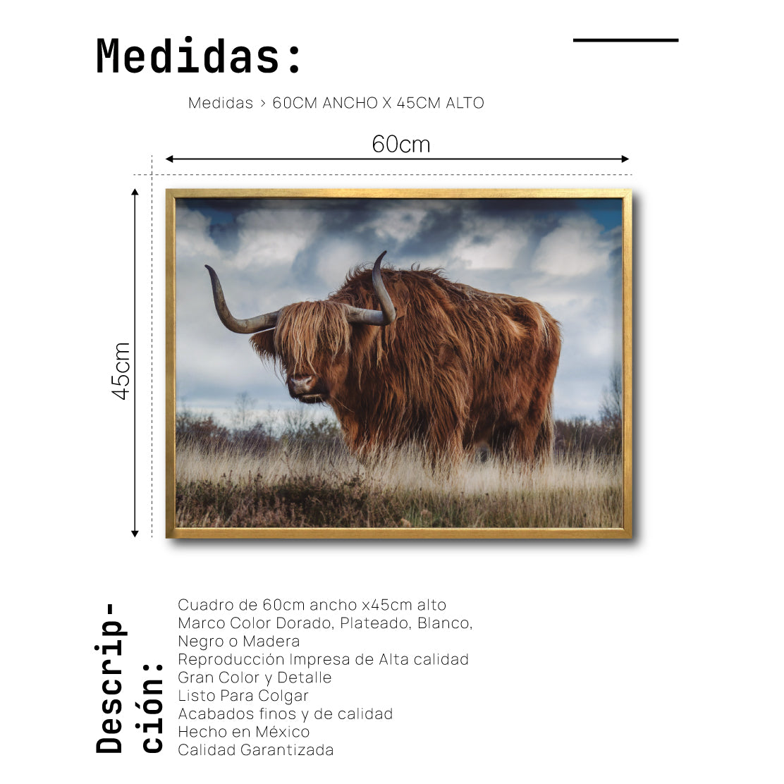 Cuadro Decorativo Fauna 042 - Vaca de las tierras altas