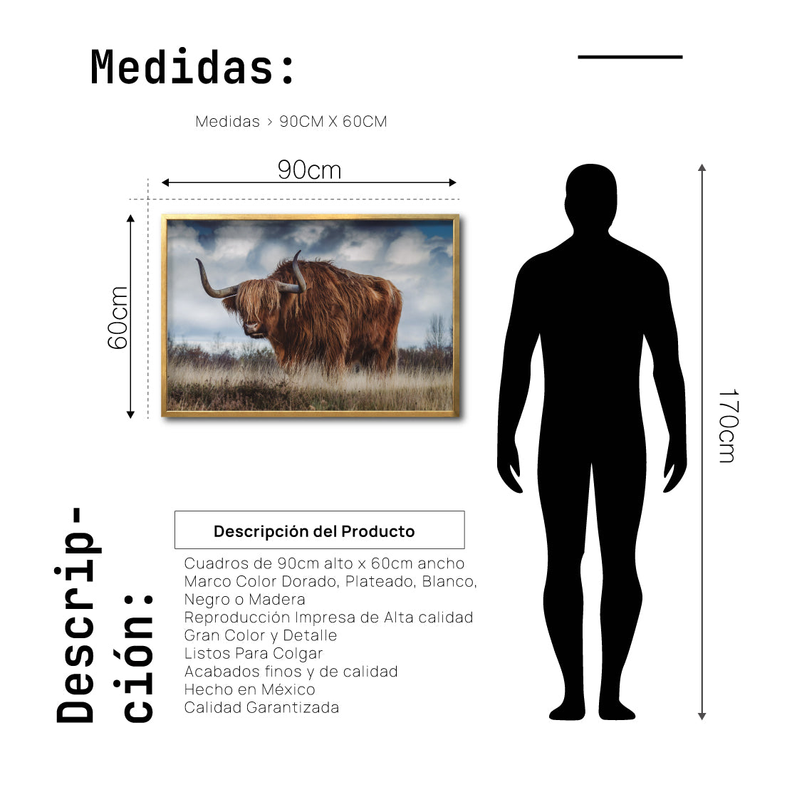 Cuadro Decorativo Fauna 042 - Vaca de las tierras altas