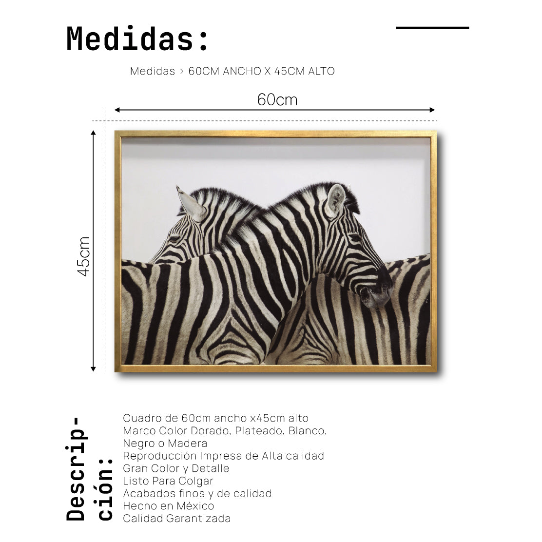 Cuadro Decorativo Fauna 043 -  Cebras