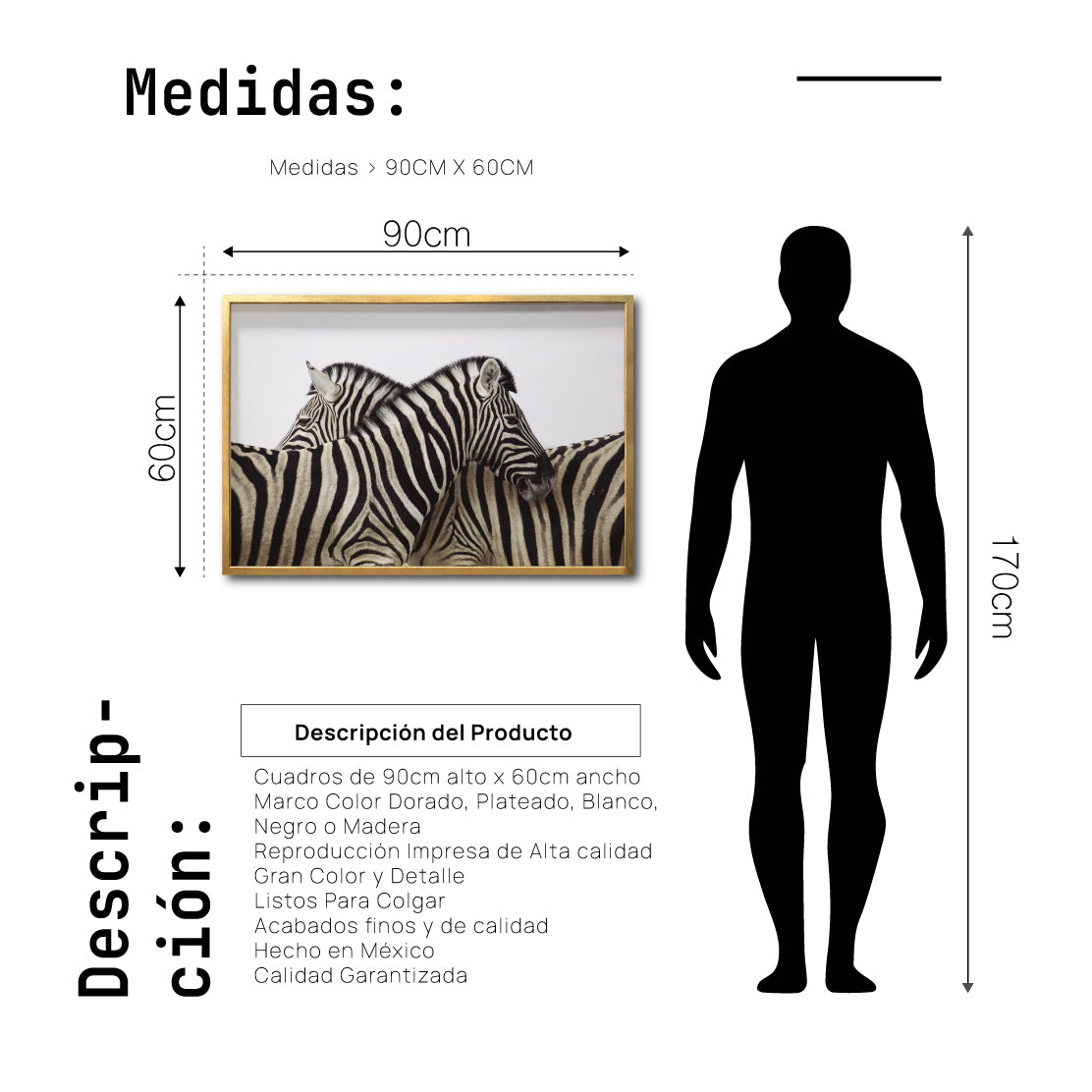 Cuadro Decorativo Fauna 043 -  Cebras