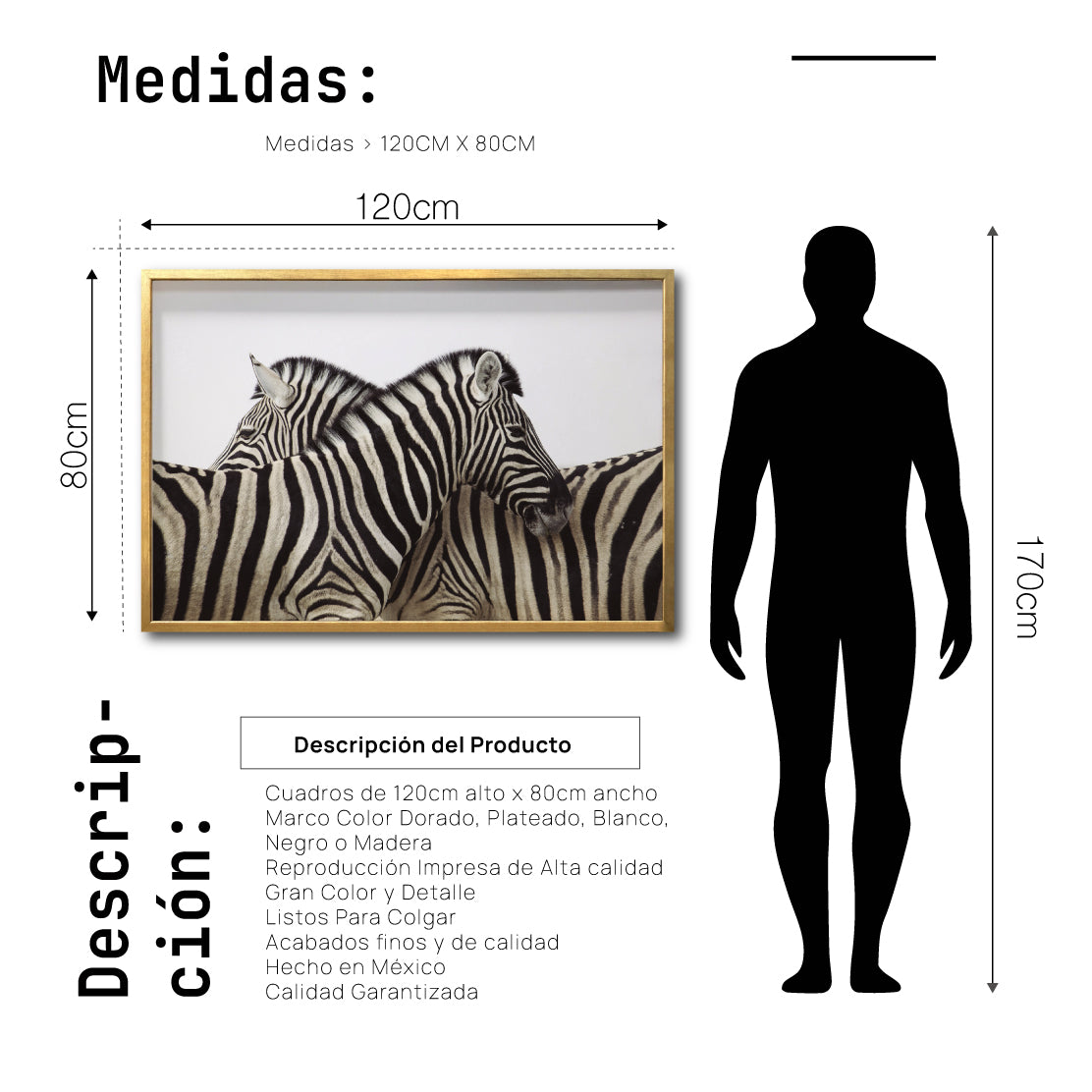 Cuadro Decorativo Fauna 043 -  Cebras