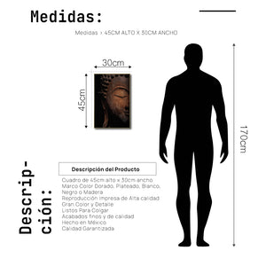 Cuadro Decorativo - Zen 044 - Buda en Meditación
