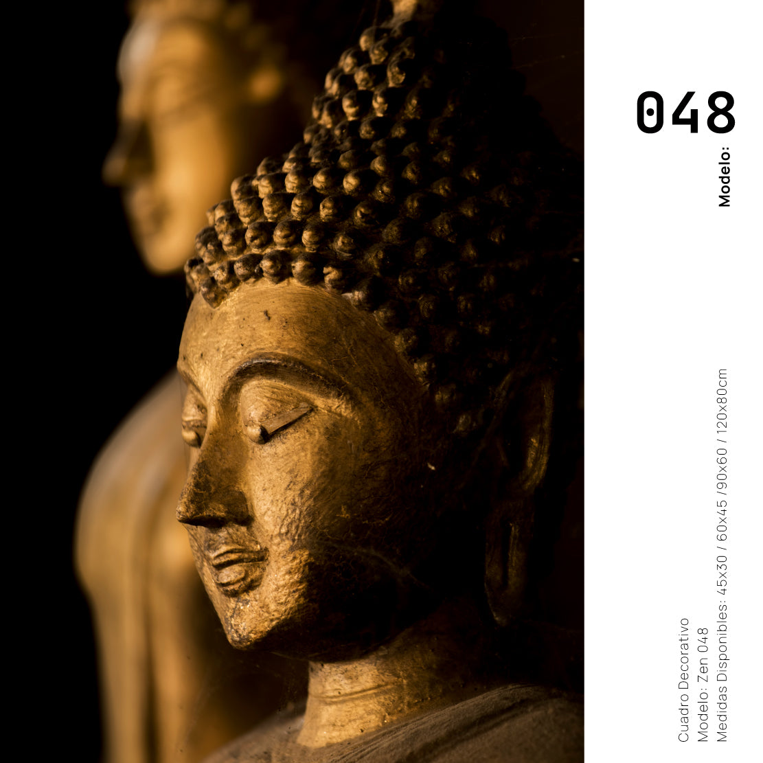 Cuadro Decorativo - Zen 048 - Buda en Meditación