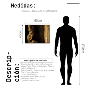 Cuadro Decorativo - Zen 048 - Buda en Meditación
