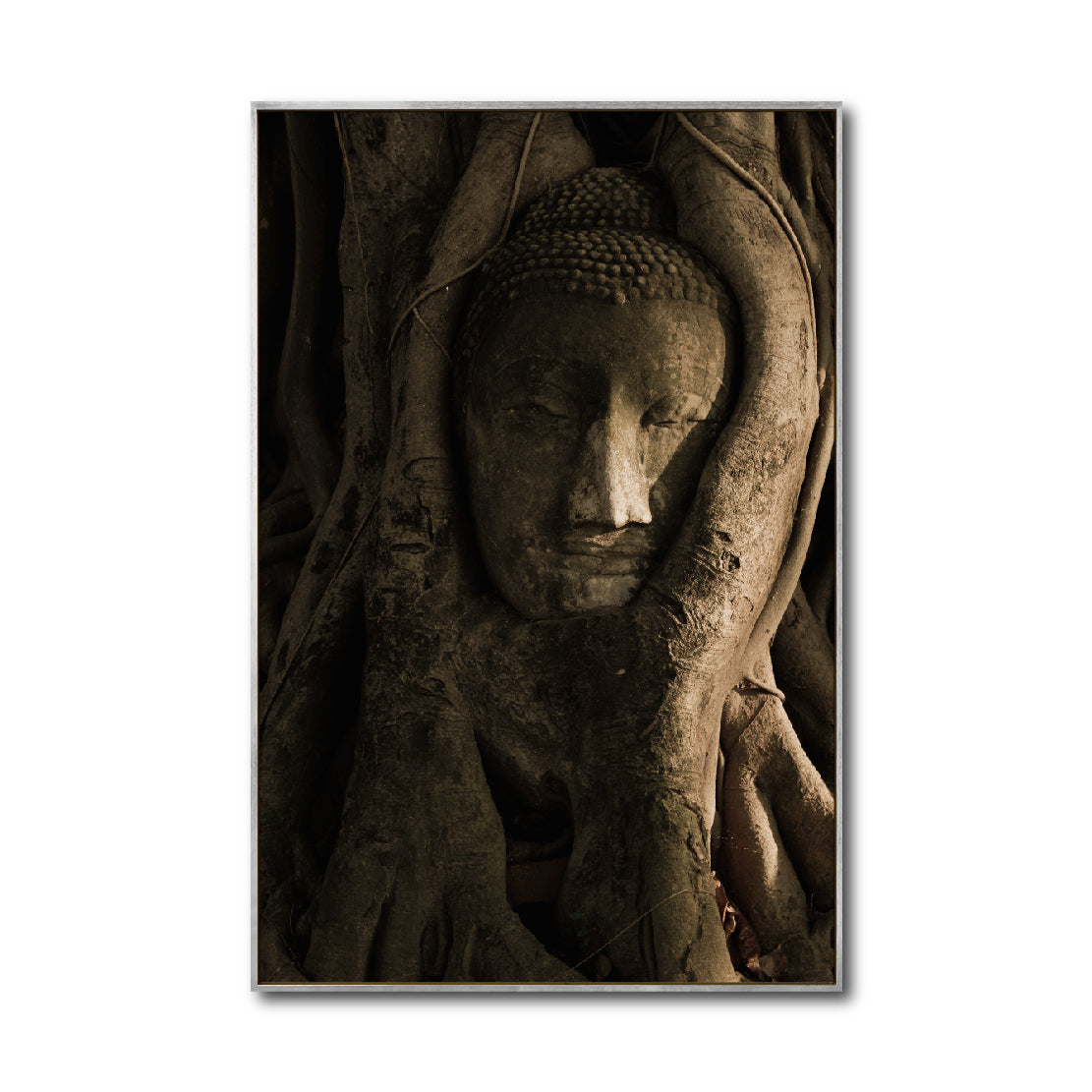 Cuadro Decorativo - Zen 055 - Buda entre Raices