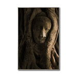 Cargar imagen en el visor de la galería, Cuadro Decorativo - Zen 055 - Buda entre Raices
