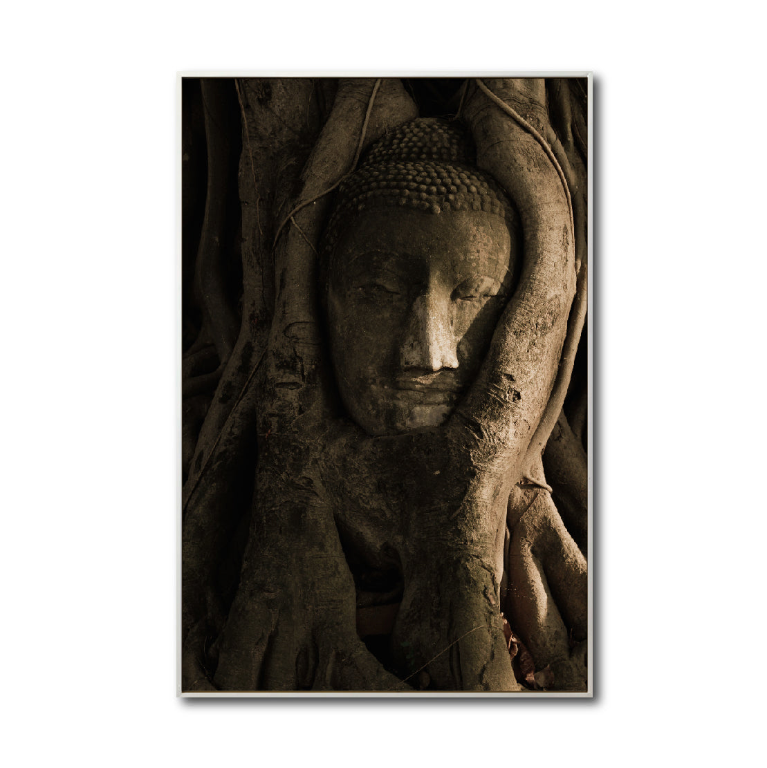 Cuadro Decorativo - Zen 055 - Buda entre Raices
